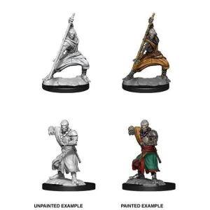 D&D Nolzur's Marvelous Miniatures: Warforged Monk