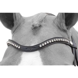 Dy'on Dressage Half Swarovski V-Shaped Browband NE02H