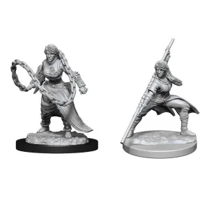 Human Monk Female: Wave 14 - Nolzur's Marvelous Unpainted Miniatures