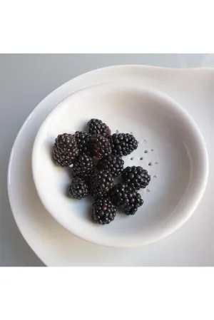 Small Perforated Cup